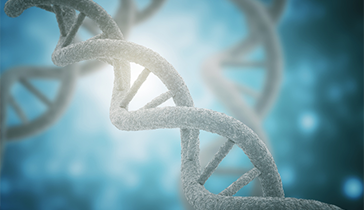 Micro Class Subscription